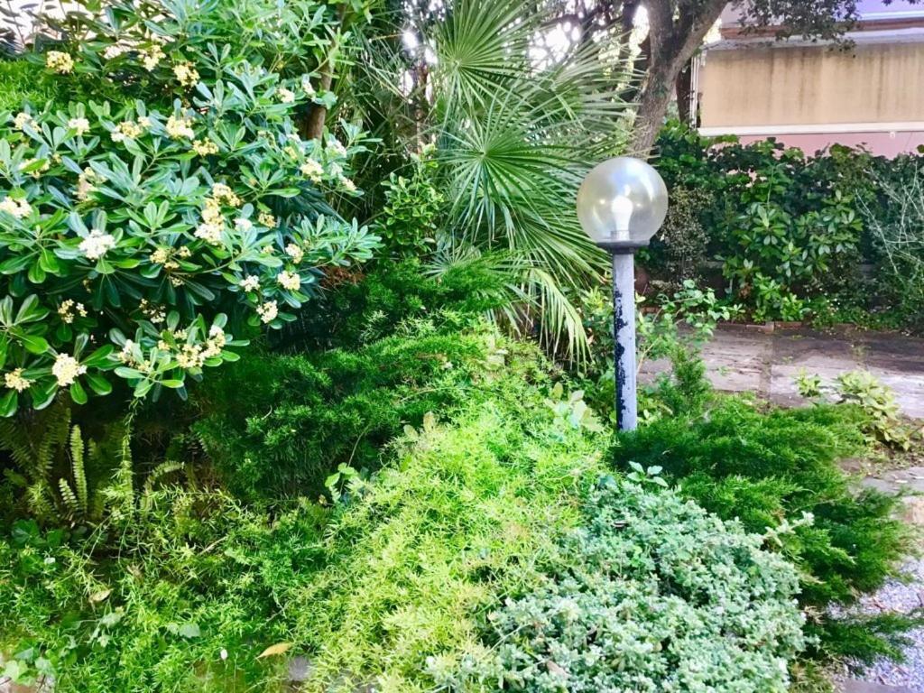 La Coccinella Residence San Vincenzo Zewnętrze zdjęcie